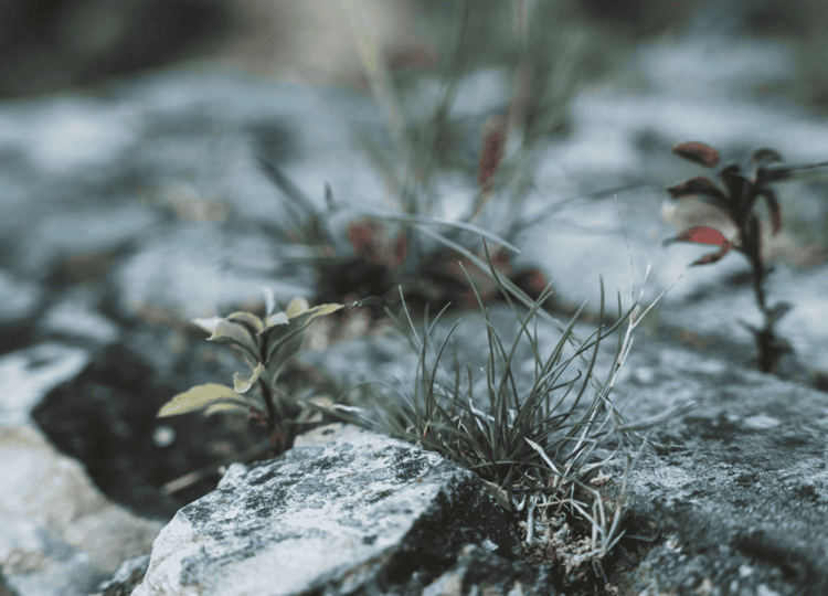 Workshops 2 Antje Melanie Rieche | Coaching Resilienzworkshops klein Antje Melanie Rieche | Coaching