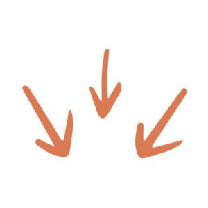 3 Pfeile Antje Melanie Rieche | Coaching